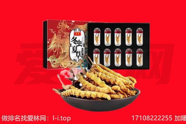 东阳市回收虫草.jpg